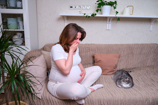 Read more about the article The Basics about Heartburn in Pregnancy. Causes and Treatment