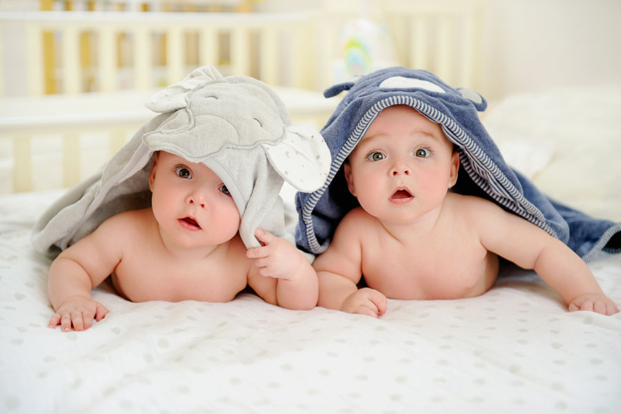 Read more about the article Fraternal vs. Identical Twins. Understanding Who Is Who